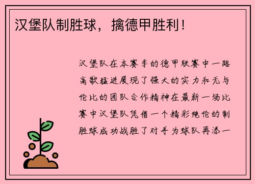 汉堡队制胜球，擒德甲胜利！